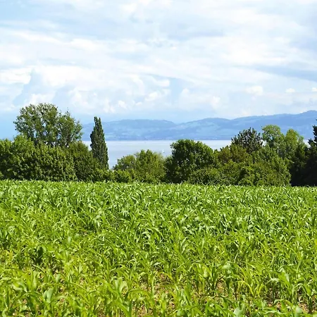By Constance With Alps Views, Cleaning Included Apartment Immenstaad am Bodensee